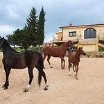 Arcudaci Hotel 3*