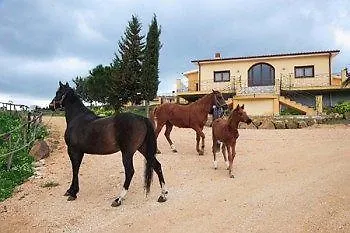 Arcudaci מלון 3*